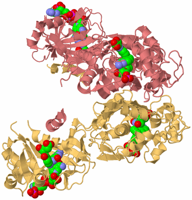 Image Biological Unit 4