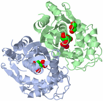 Image Asym./Biol. Unit