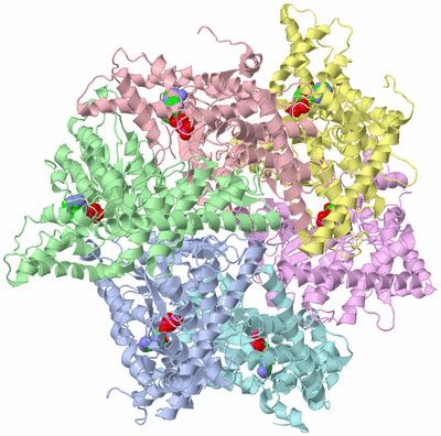 Image Asym./Biol. Unit