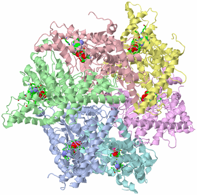 Image Asym./Biol. Unit - sites