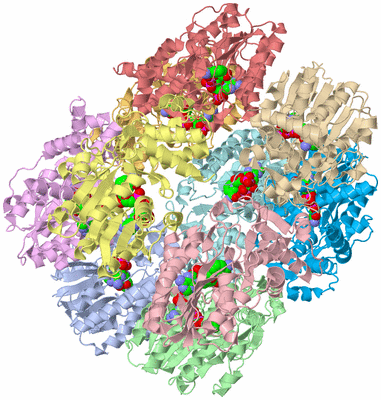 Image Biological Unit 1