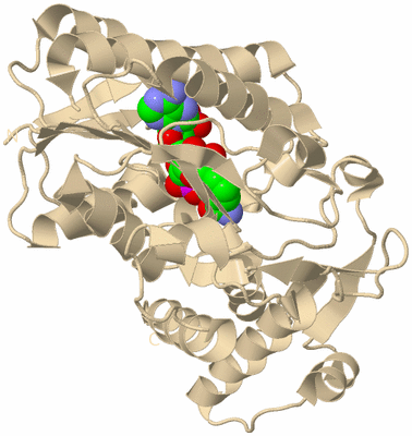 Image Biological Unit 10