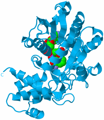 Image Biological Unit 11