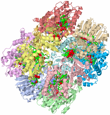 Image Biol. Unit 1 - sites