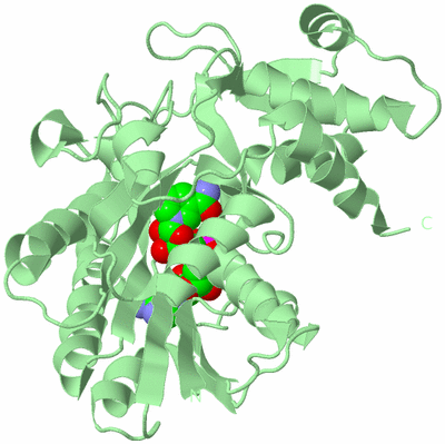 Image Biological Unit 3