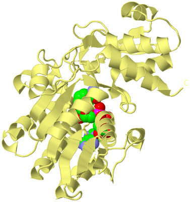 Image Biological Unit 5