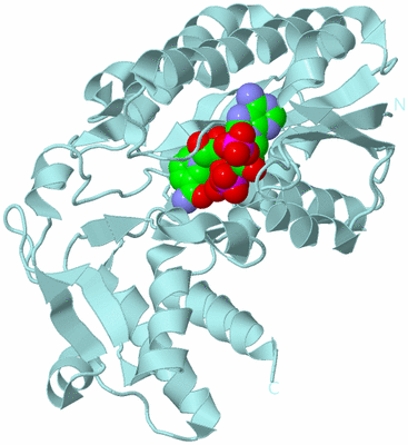 Image Biological Unit 7