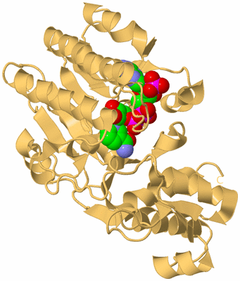 Image Biological Unit 8