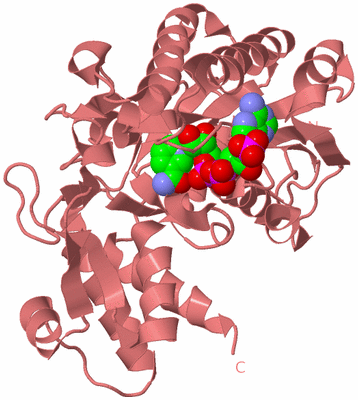 Image Biological Unit 9