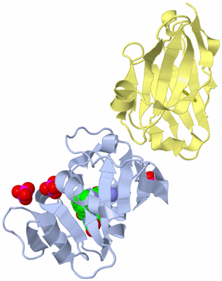 Image Biological Unit 1