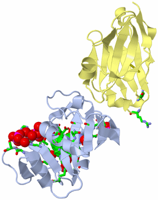 Image Biol. Unit 1 - sites