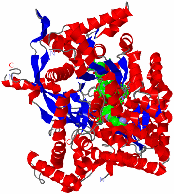 Image Asym. Unit - sites