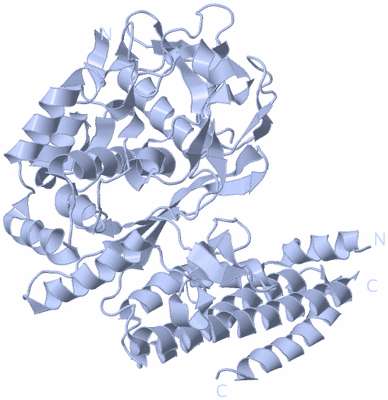 Image Biological Unit 1