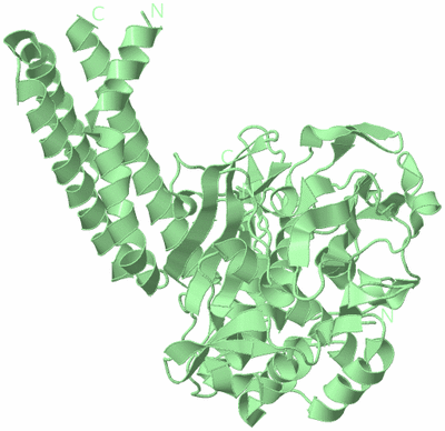 Image Biological Unit 2