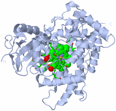 Image Biol. Unit 1 - sites