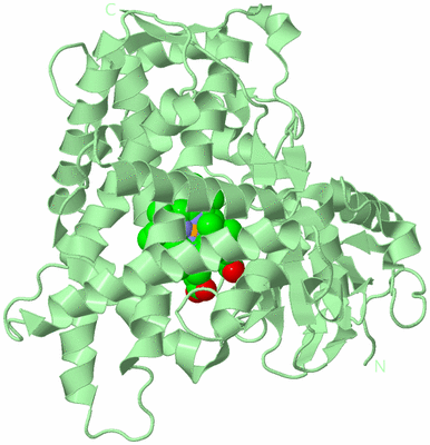 Image Biological Unit 2