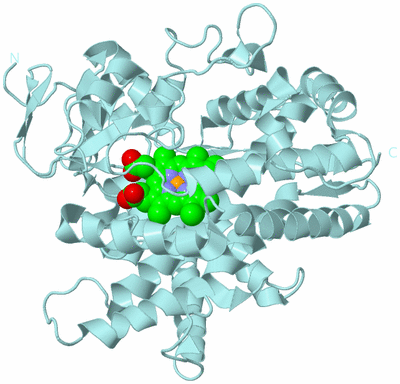 Image Biological Unit 6