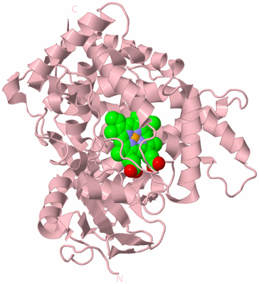 Image Biological Unit 3