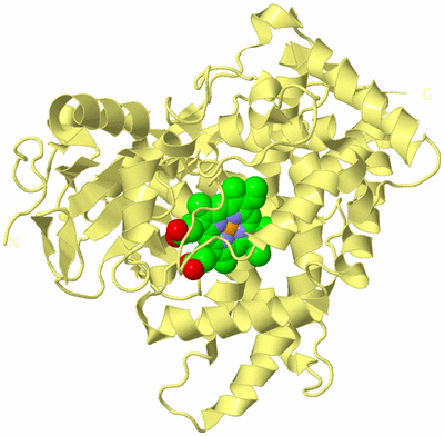 Image Biological Unit 4