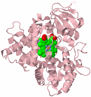 Image Biological Unit 3