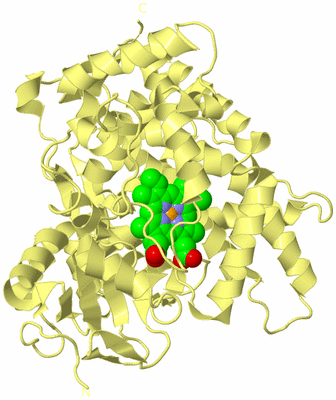 Image Biological Unit 4