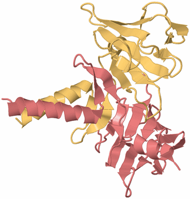 Image Biological Unit 4