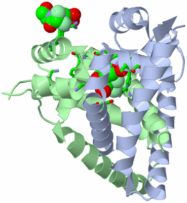 Image Asym./Biol. Unit - sites