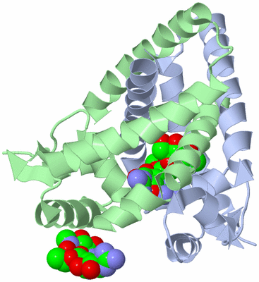 Image Asym./Biol. Unit