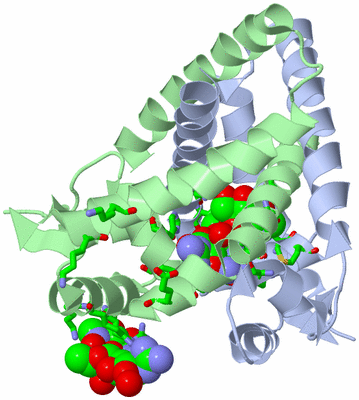 Image Asym./Biol. Unit - sites