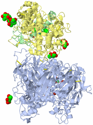 Image Asym./Biol. Unit