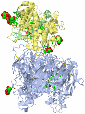 Image Asym./Biol. Unit - sites