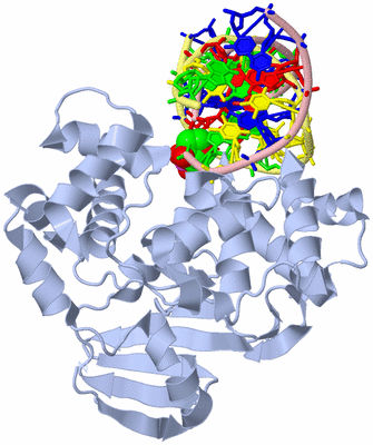 Image Biological Unit 1