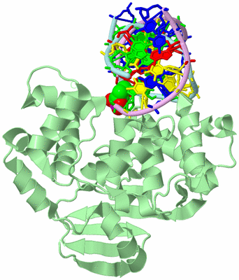 Image Biological Unit 2