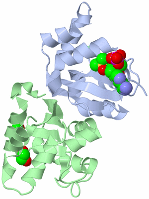 Image Asym./Biol. Unit