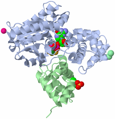 Image Asym./Biol. Unit