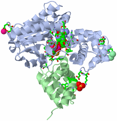 Image Asym./Biol. Unit - sites