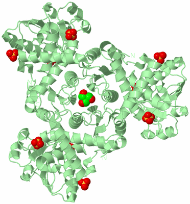 Image Biological Unit 1