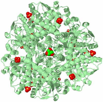 Image Biological Unit 2