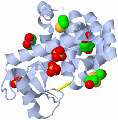 Image Biological Unit 1