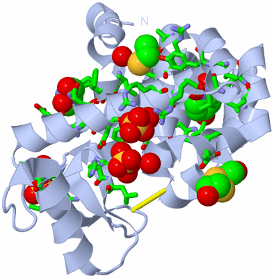 Image Biol. Unit 1 - sites