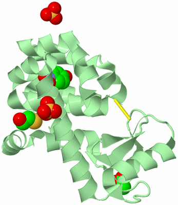 Image Biological Unit 2