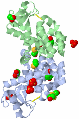 Image Biological Unit 3