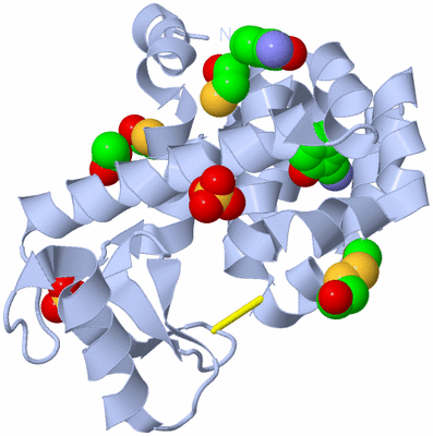 Image Biological Unit 1