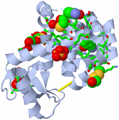 Image Biol. Unit 1 - sites