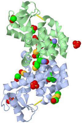 Image Biological Unit 3