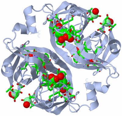 Image Biol. Unit 1 - sites