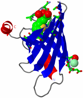 Image Asym. Unit - sites