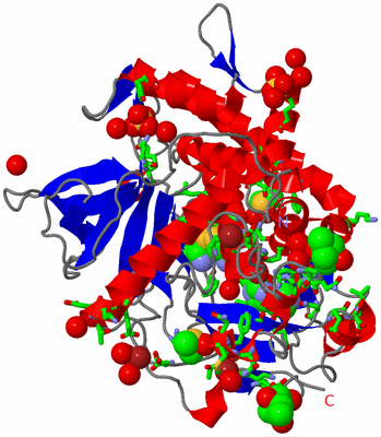 Image Asym./Biol. Unit - sites