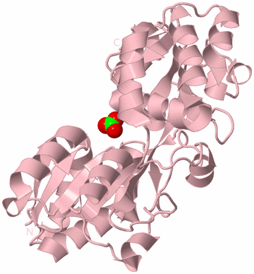 Image Biological Unit 3