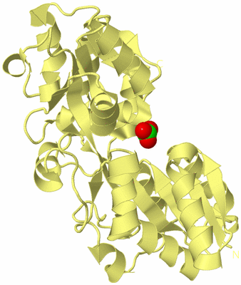 Image Biological Unit 4